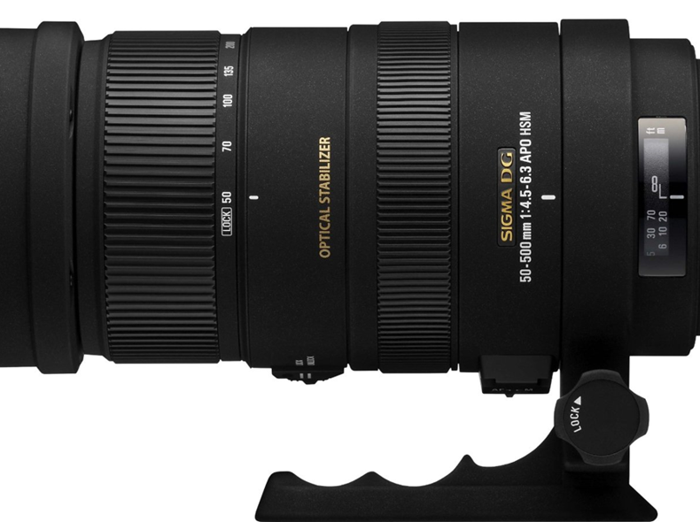 2310 Sigma 50-500mm, f/4.5-6.3 (Sony)
