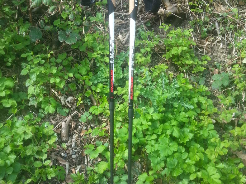 2393 Nordic Walking Stöcke