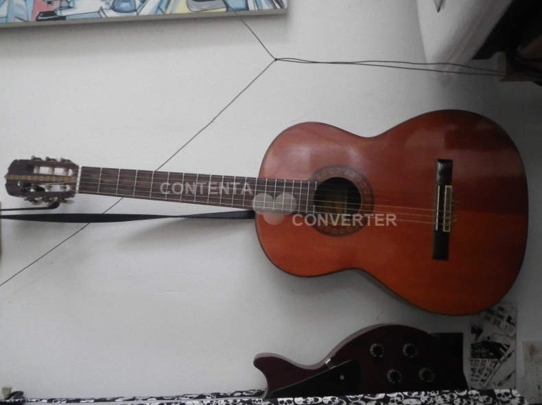 5770 Aria Westerngitarre