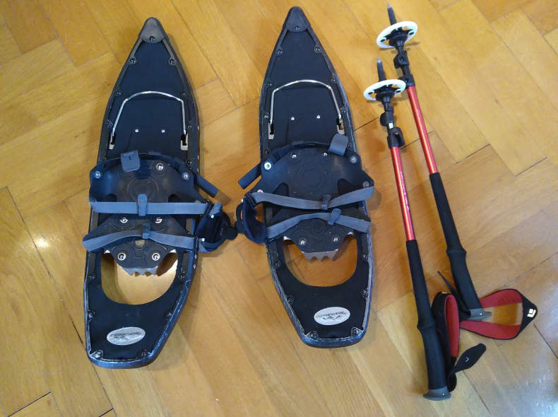 9217 1 Paar Schneeschuhe mit Stöcken