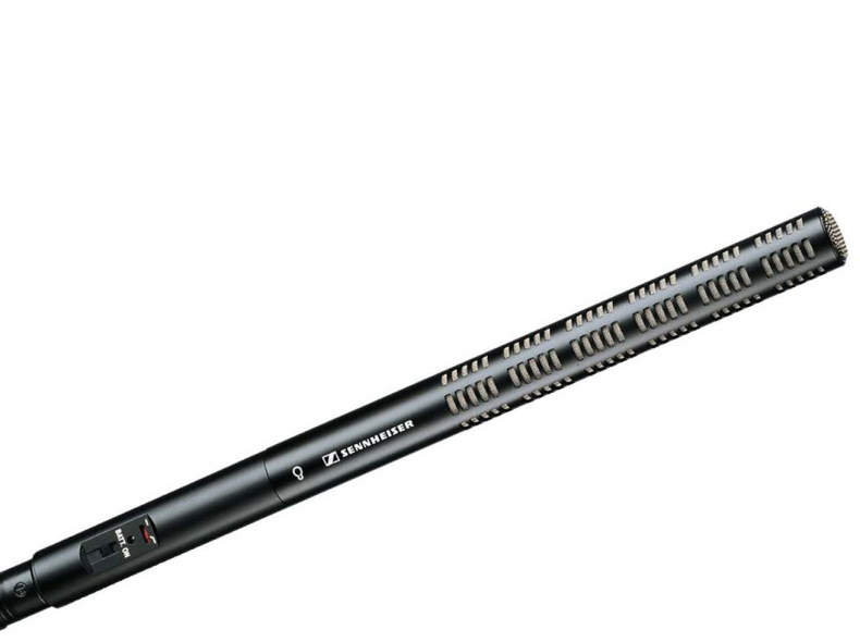 12073 Sennheiser ME66 Keule