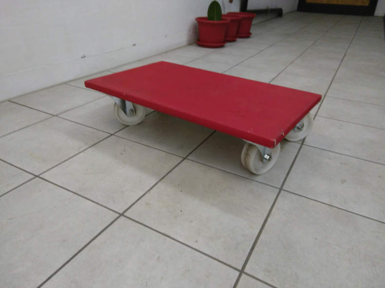 13438 Transport-Rolli