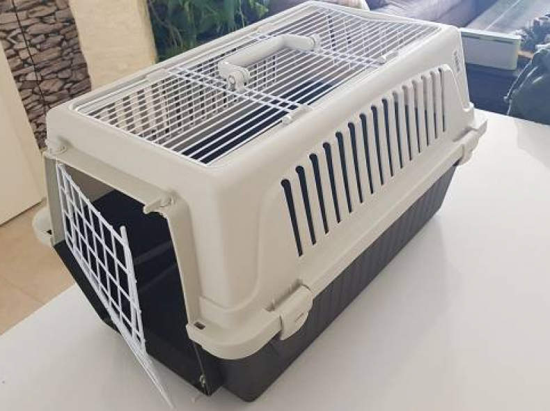 15490 Katzen oder Hundetransportbox