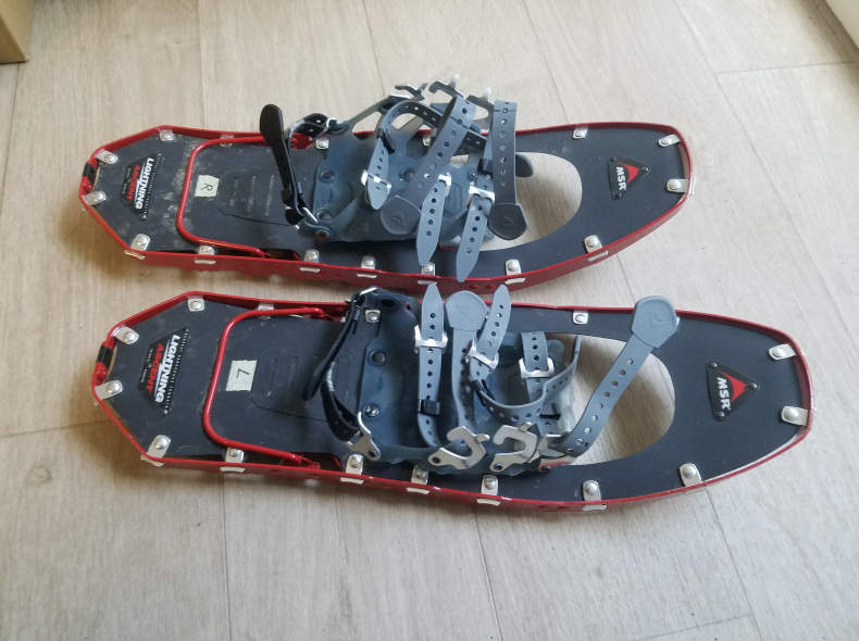 19665 Schneeschuhe MSR Alpin