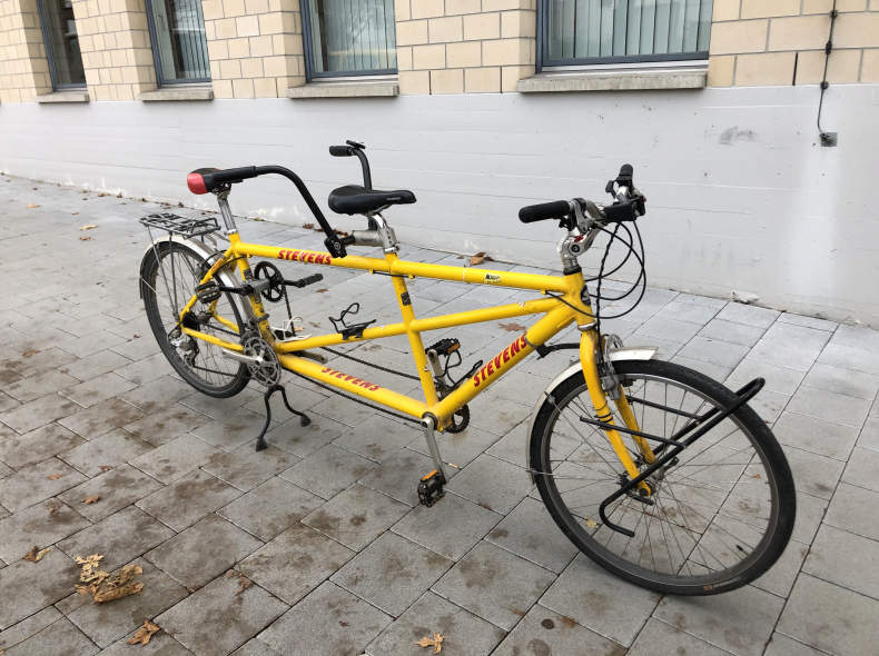 19731 Tandem Stevens