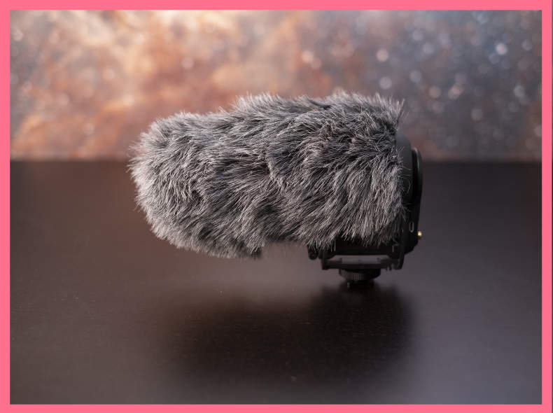 21138 Richtmic Rode Mic Pro+