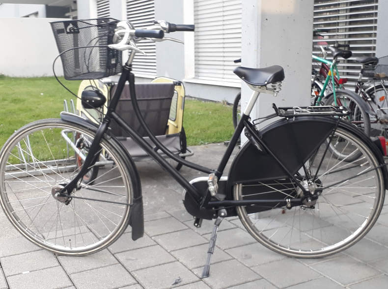 22210 Holländervelo Damen