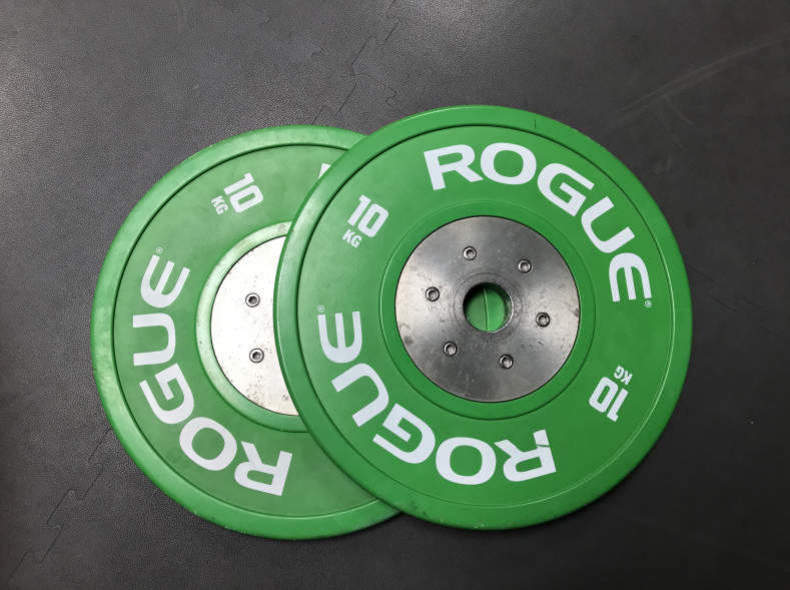 22508 Pair of Weightlifting Plates