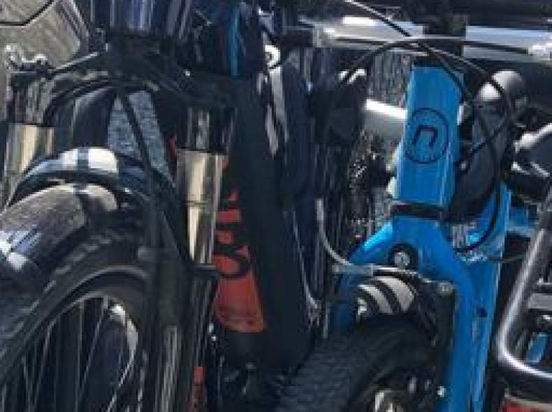 23905 Thule Ebike Veloanhänger