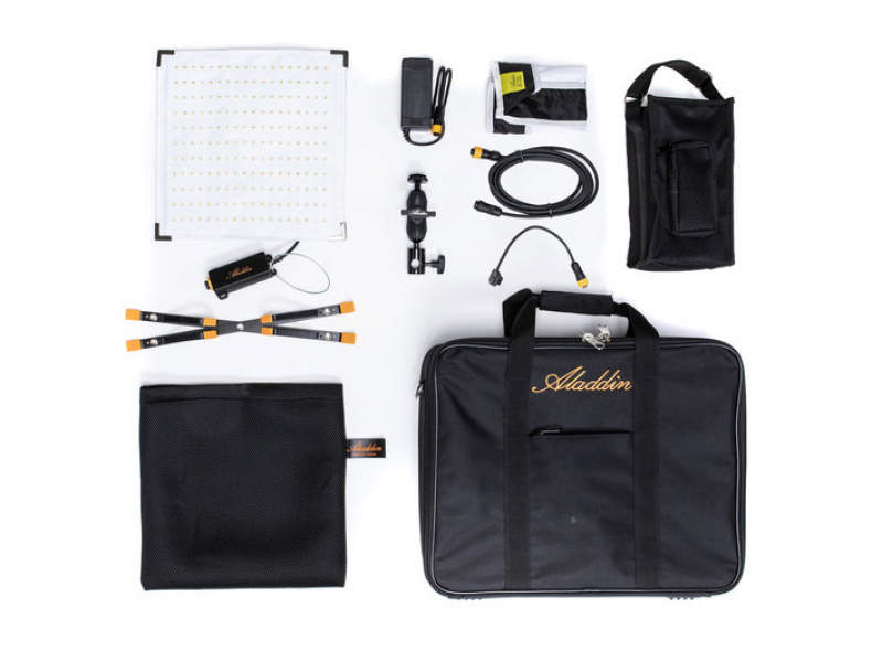 24245 Aladdin Bi-Color Flex Light LED