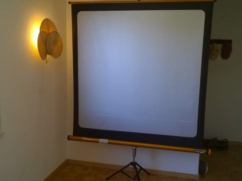 24571 Filmleinwand