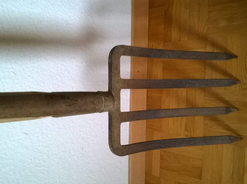 24587 Stechgabel