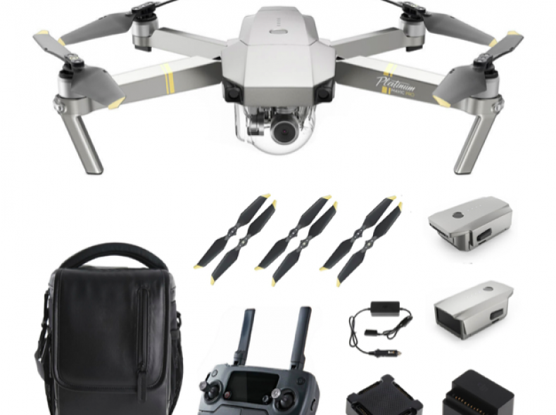 24970 DJI Mavic Pro Platinum fly More