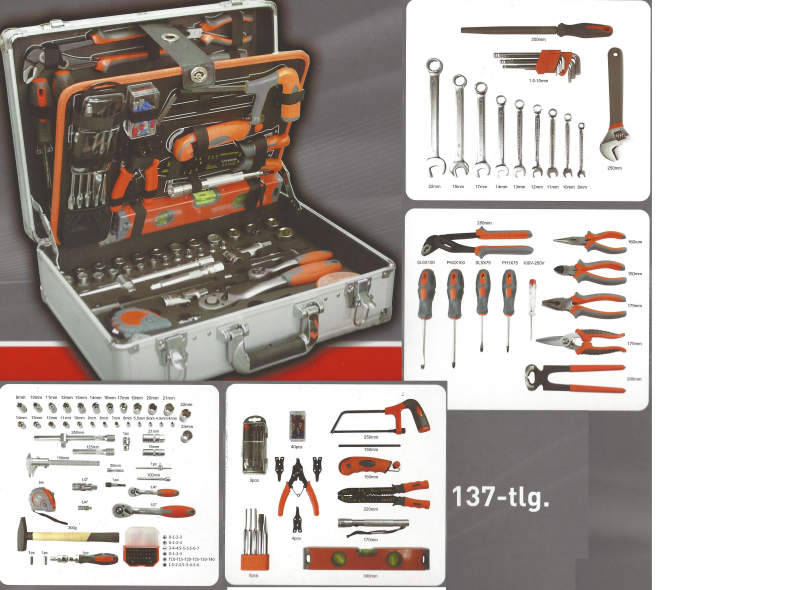 25312 Werkzeugkoffer 137-teilig