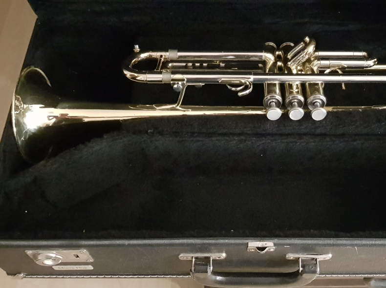 26652 Trompete