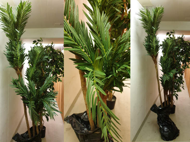 28210 Cycas Palme, 3 teilig gestuft, grün
