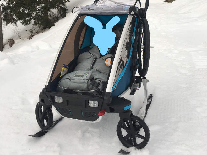 29536 Thule Chariot 1 (Ski/Jogging/Velo)