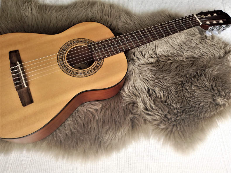 29716 Gitarre