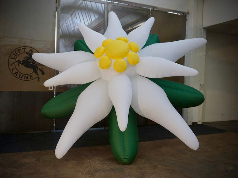 29899 Aufblasbares riesen Edelweiss