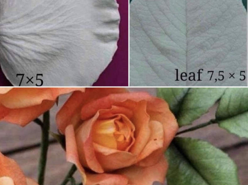 31509 3D Silikonform Rose & Blatt