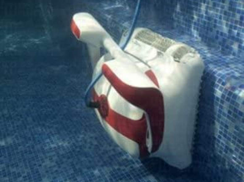 31754 Dolphin Mariln Poolreinigungsrobot